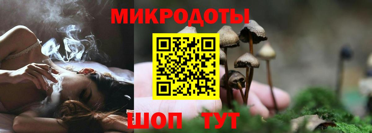 Галлюциногенные грибы MAGIC MUSHROOMS  Псилоцибиновые грибы Psilocybine cubensis  Тулун  Вход с VPN 